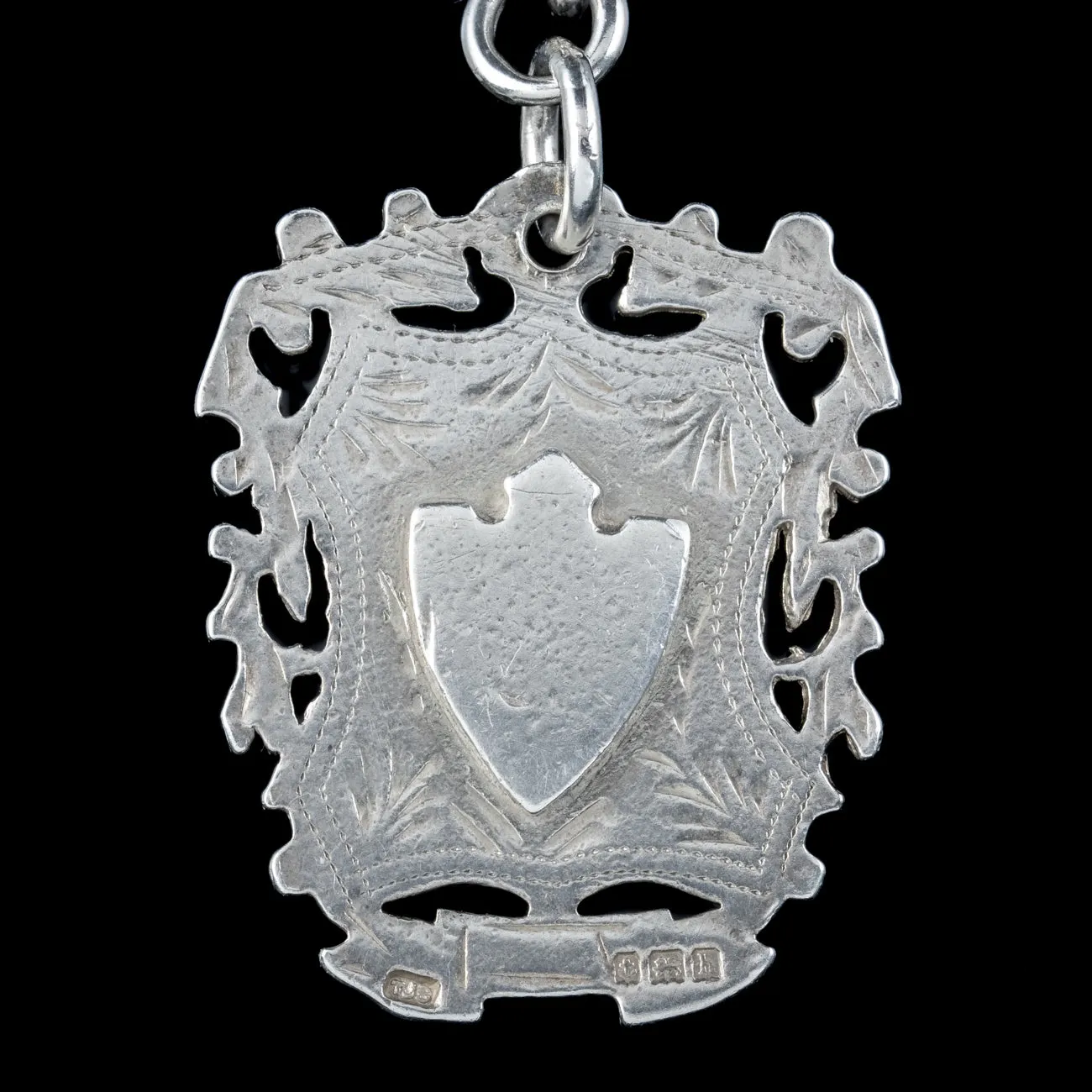 Antique Edwardian Albert Chain With Medallion Sterling Silver Dated 1912