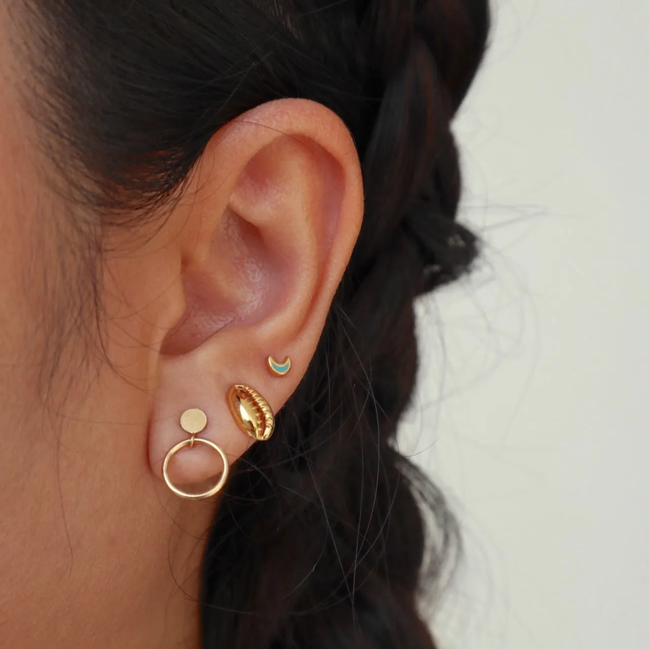 Cowrie Shell Stud Earrings