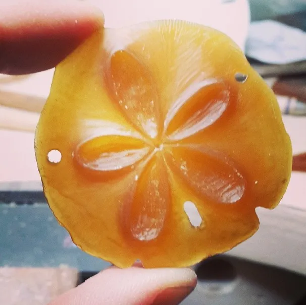 Friends ~ Sand Dollar (Large) Pendant in Gold